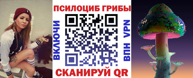 OMG как зайти  Якутск  Псилоцибиновые грибы MAGIC MUSHROOMS 