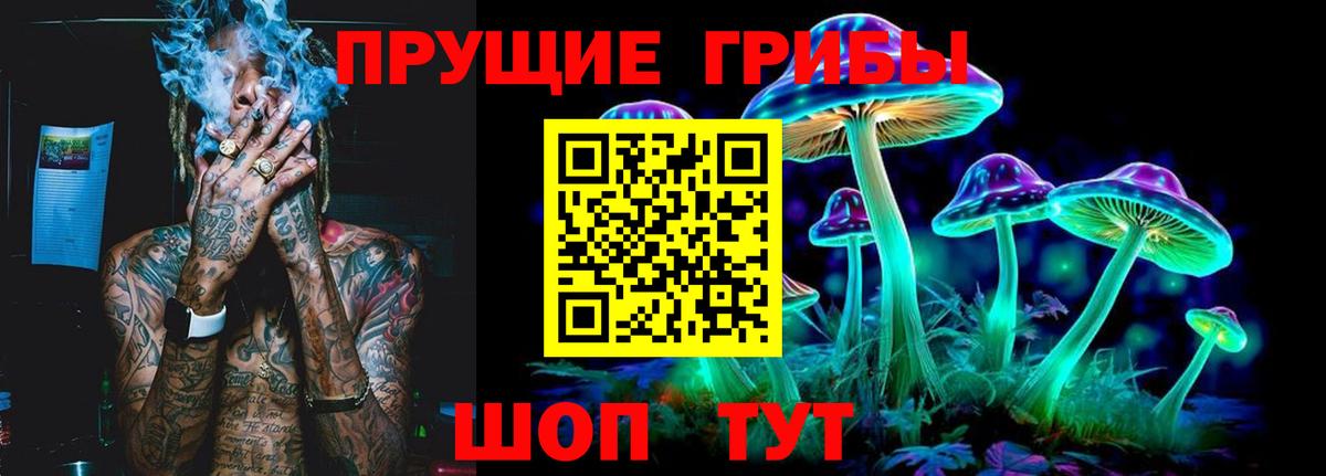 Якутск  Псилоцибиновые грибы Cubensis  Вход с VPN  Псилоцибиновые грибы ЛСД 